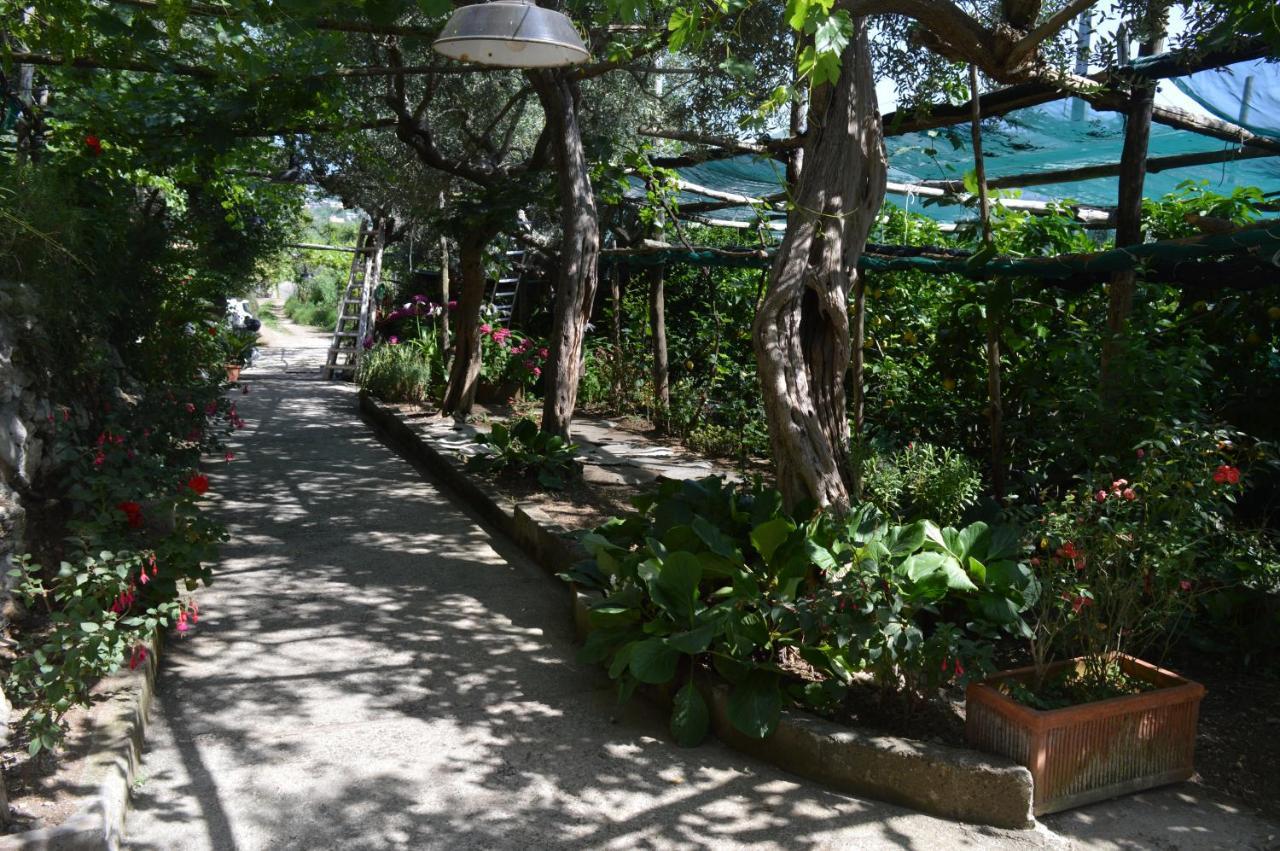 Villa La Petra Vico Equense Exterior foto