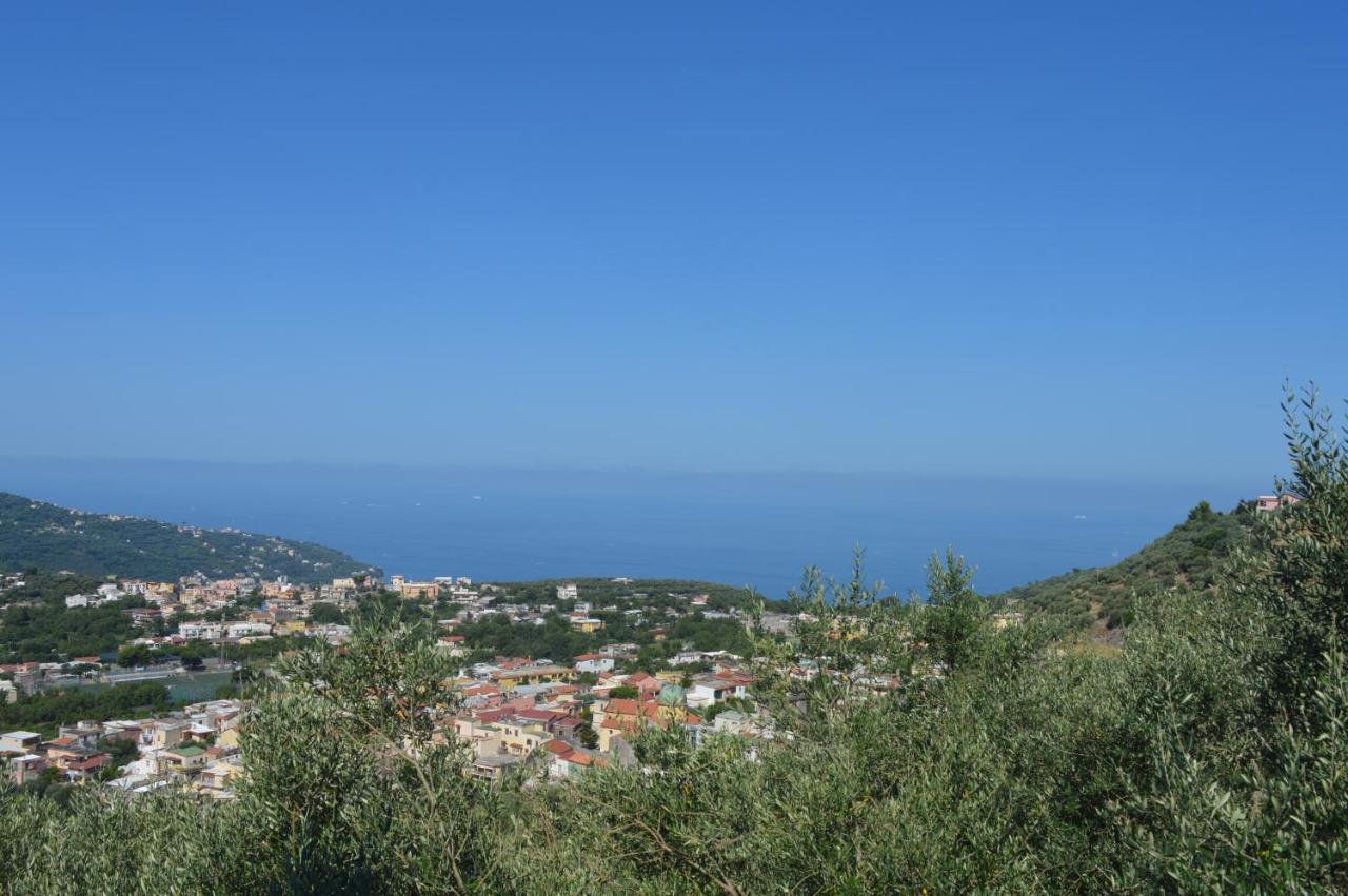 Villa La Petra Vico Equense Exterior foto