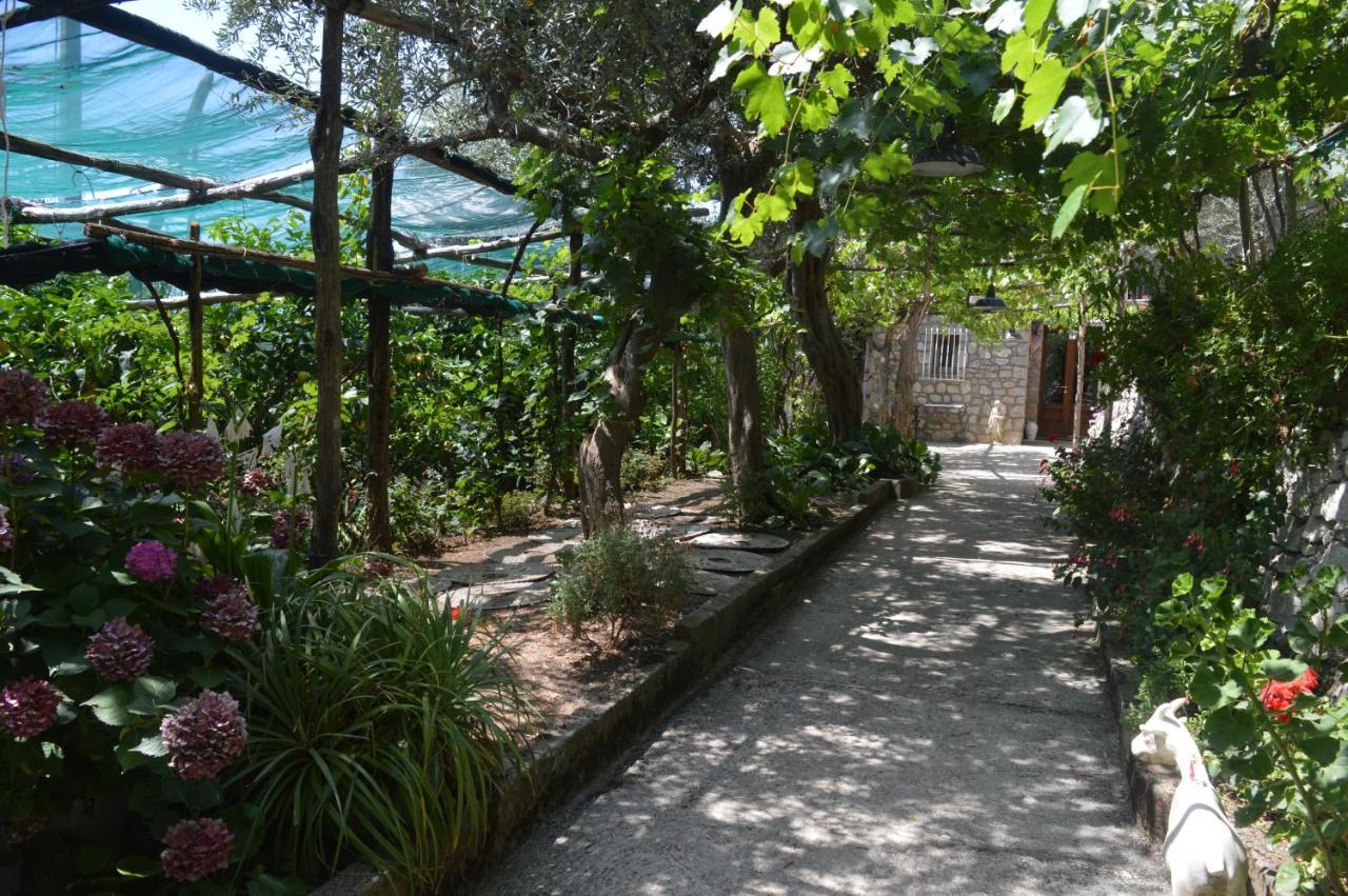 Villa La Petra Vico Equense Exterior foto