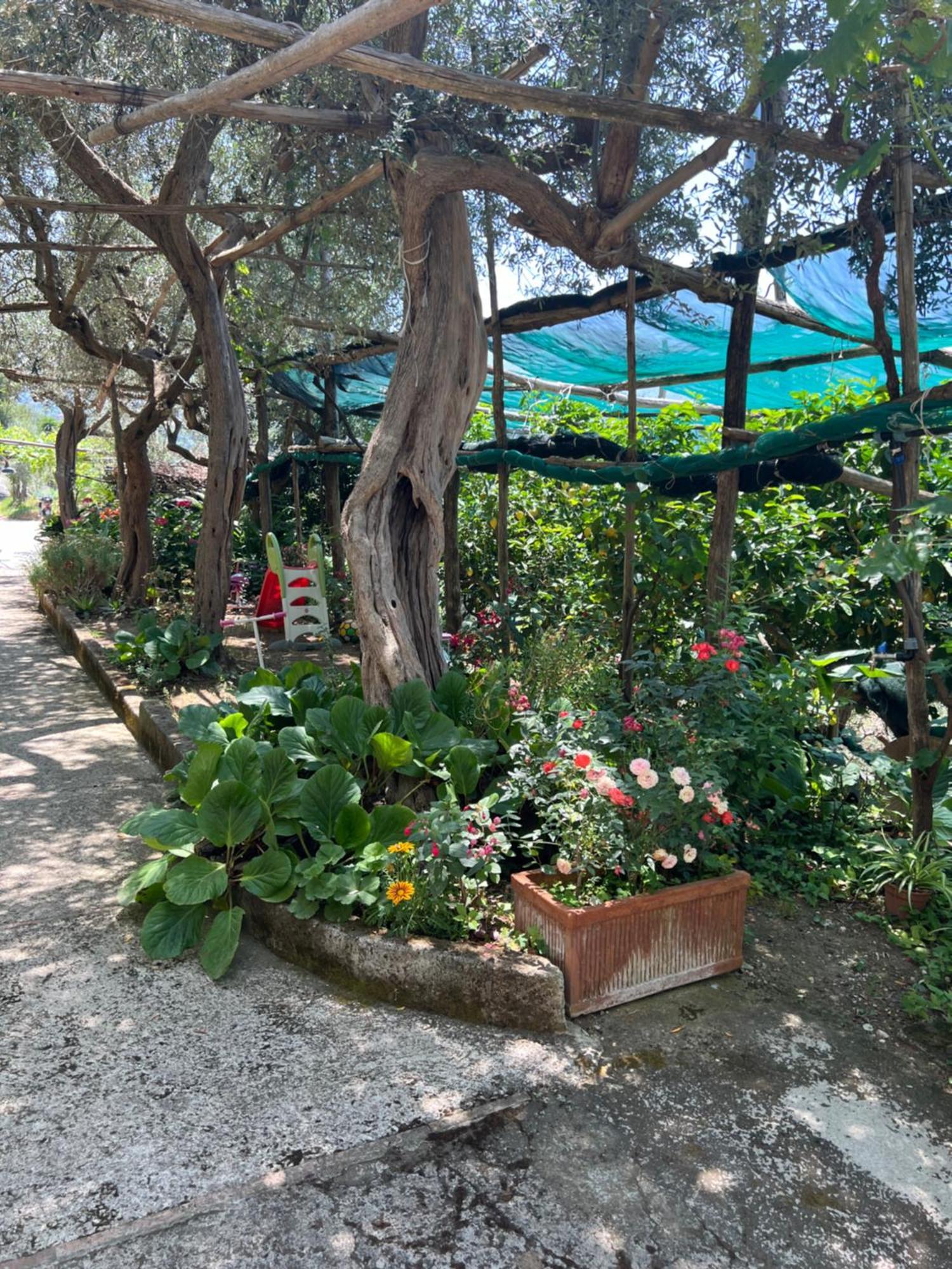 Villa La Petra Vico Equense Exterior foto