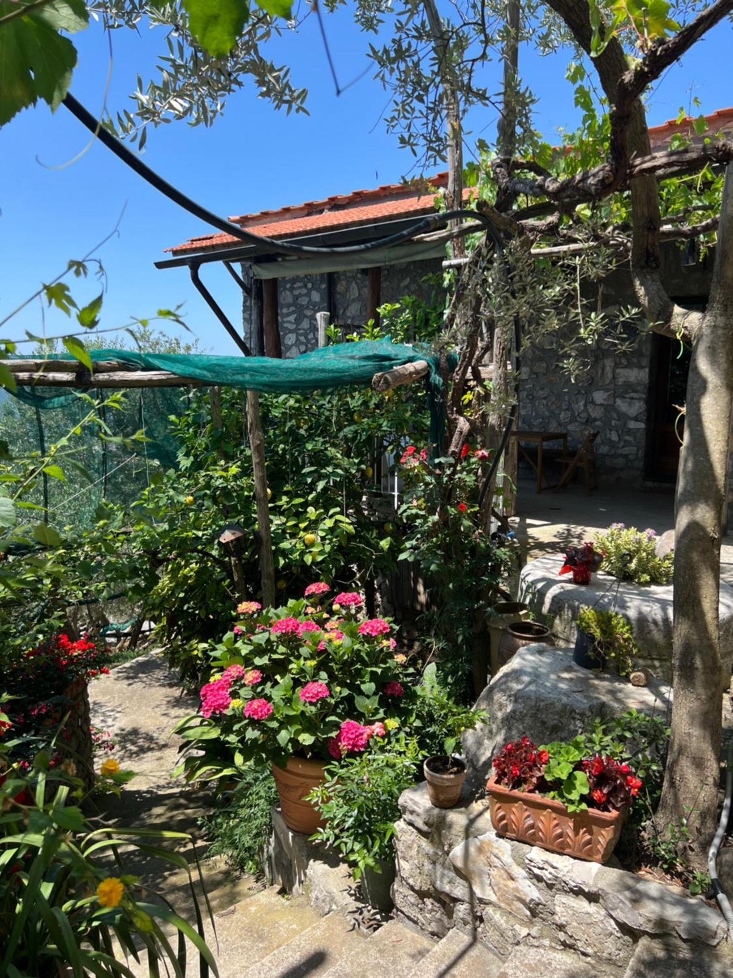 Villa La Petra Vico Equense Exterior foto